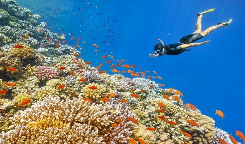 Sharm El Sheikh Escape – 6 Days of Red Sea Beauty & Adventure